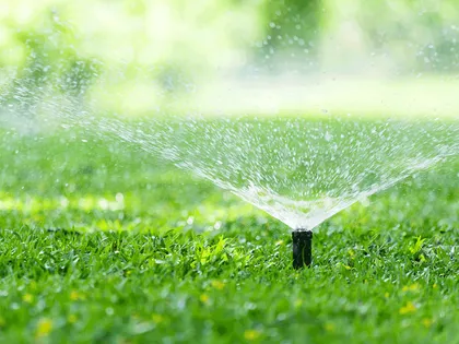 Sprinkler repair in action